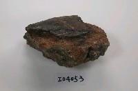 中國犀牛肢骨化石(模)藏品圖，第1張